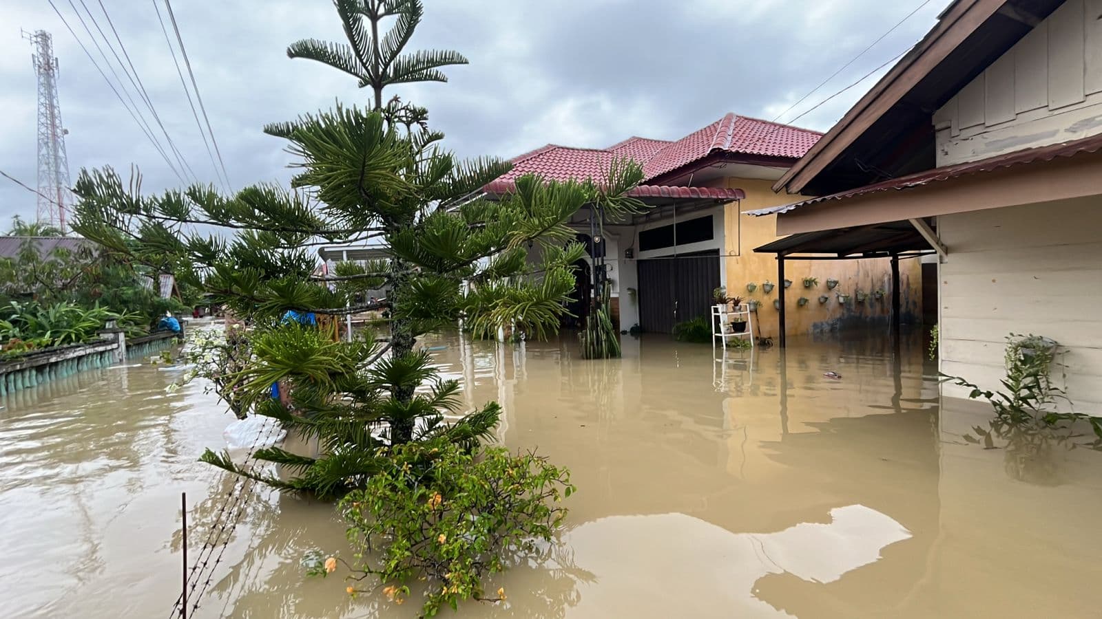 33 Gampong di Aceh Timur Terendam Banjir, Ketinggian Air Mencapai 120 cm