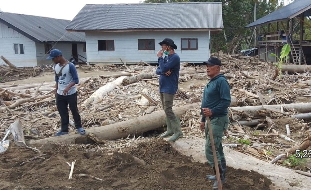 Gading Gajah Korban Banjir Pidie Jaya Diamankan di BKSDA Aceh
