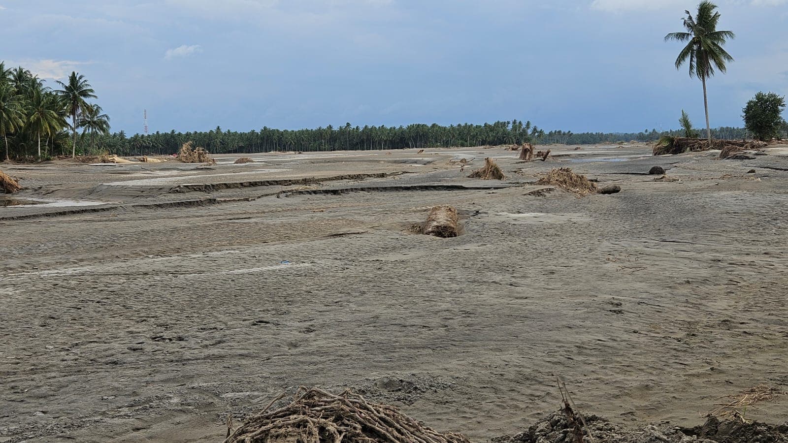 Banjir Aceh 2025 Picu Pengangguran 13% di 2026, 200 Ribu Petani Terancam