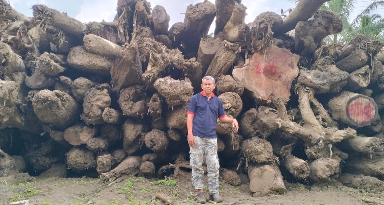 Desakan Pendataan Kayu Gelondongan Pasca Banjir Aceh Tamiang