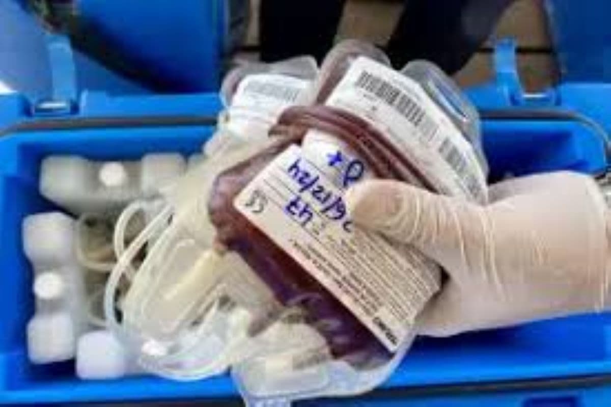 Stok Darah di Banda Aceh Menipis, PMI Imbau Masyarakat Donor