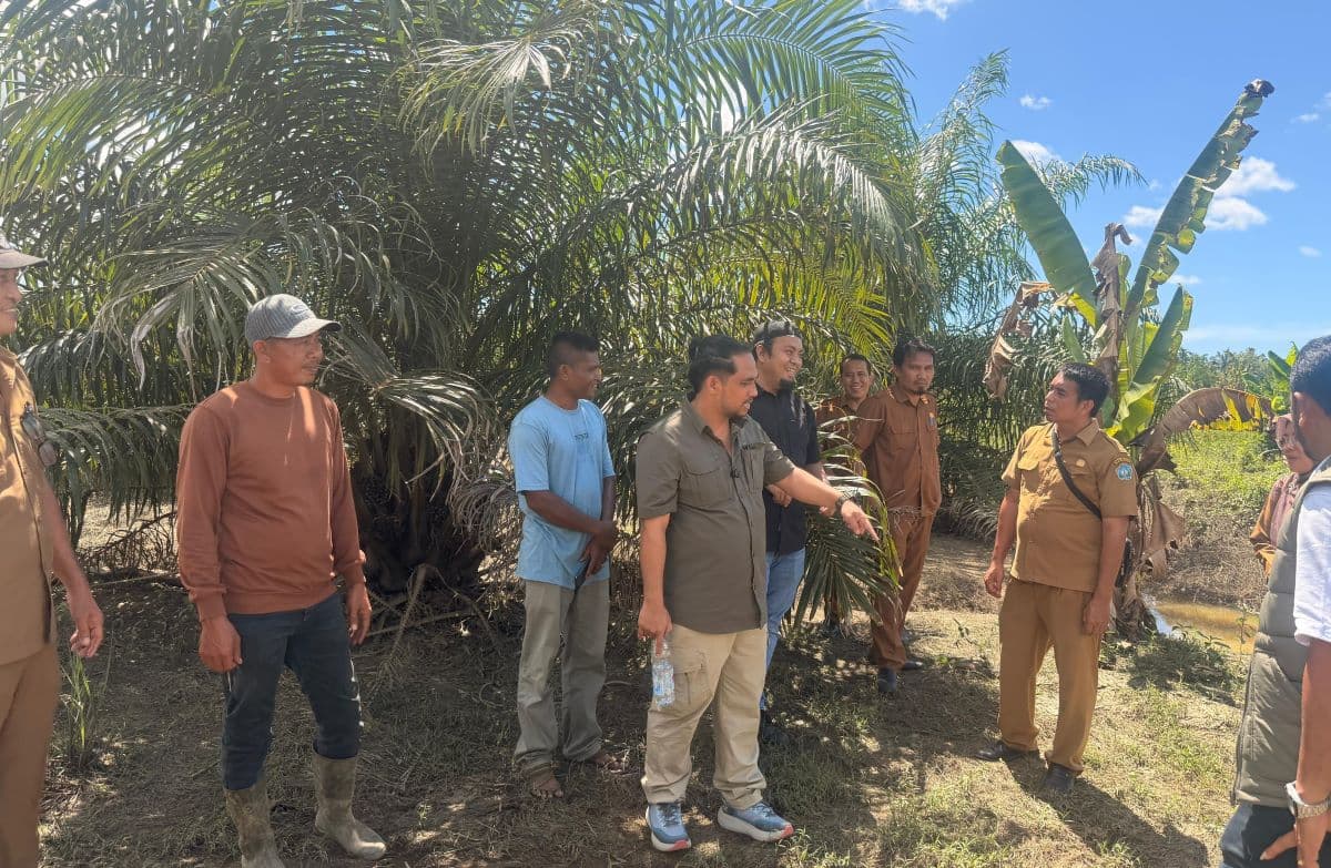 Pansus DPRK Aceh Selatan Tinjau Dampak Lingkungan PKS di Trumon Timur