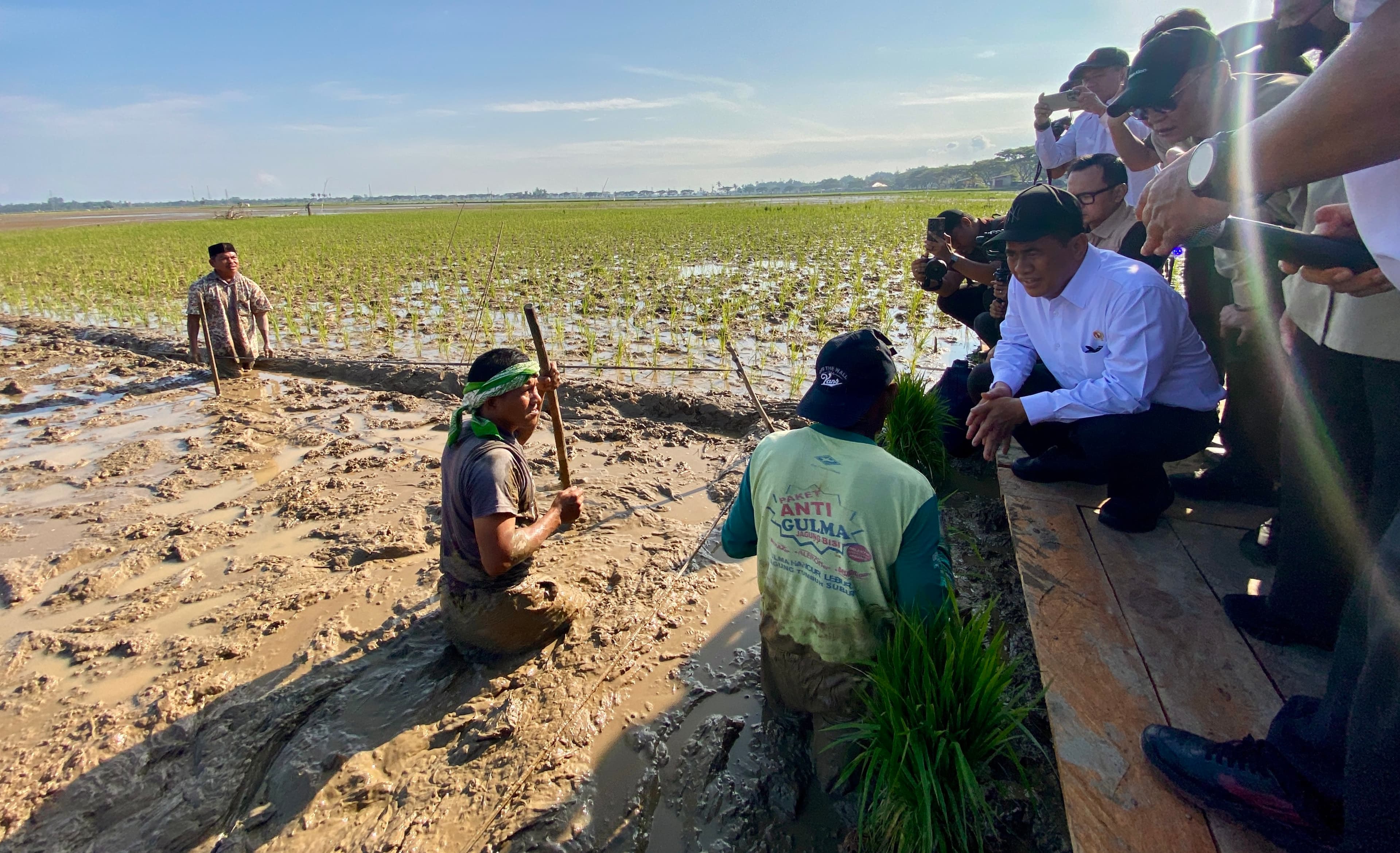 Sawah Rusak di Aceh Utara Diperbaiki Lewat Padat Karya, Petani Dapat Upah