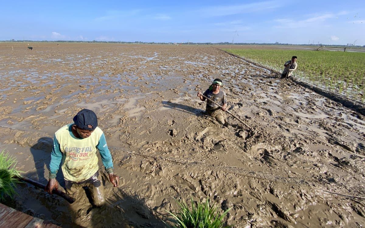 Banjir Sumatra Picu Kerugian Ekonomi Nasional, Aceh Tamiang Jadi Fokus Pemulihan