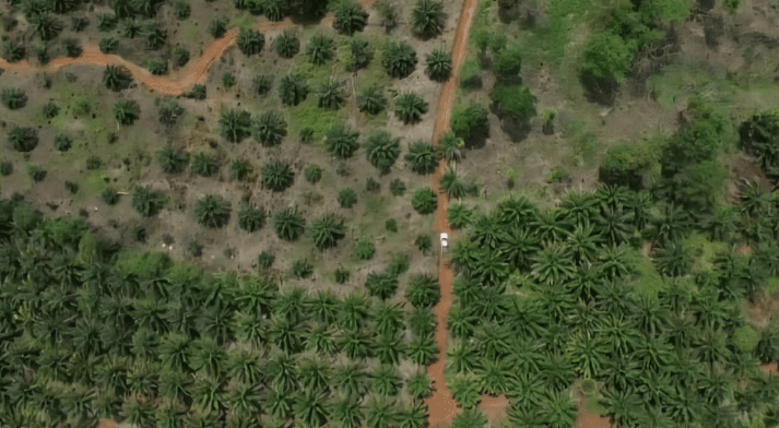 Alih Fungsi Lahan di Bireuen Picu Banjir, MaTA Desak Penindakan Tegas