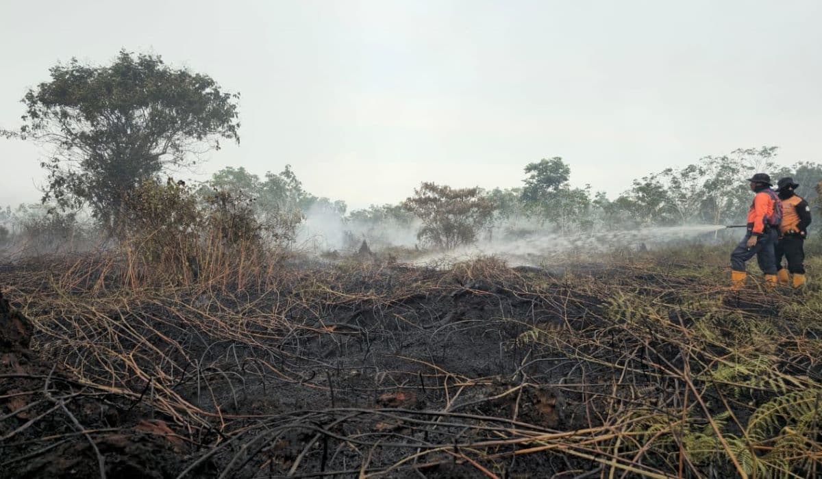 Kebakaran Lahan 8,5 Hektare di Aceh Barat, Petugas Kendalikan Api di Suak Raya dan Lapang