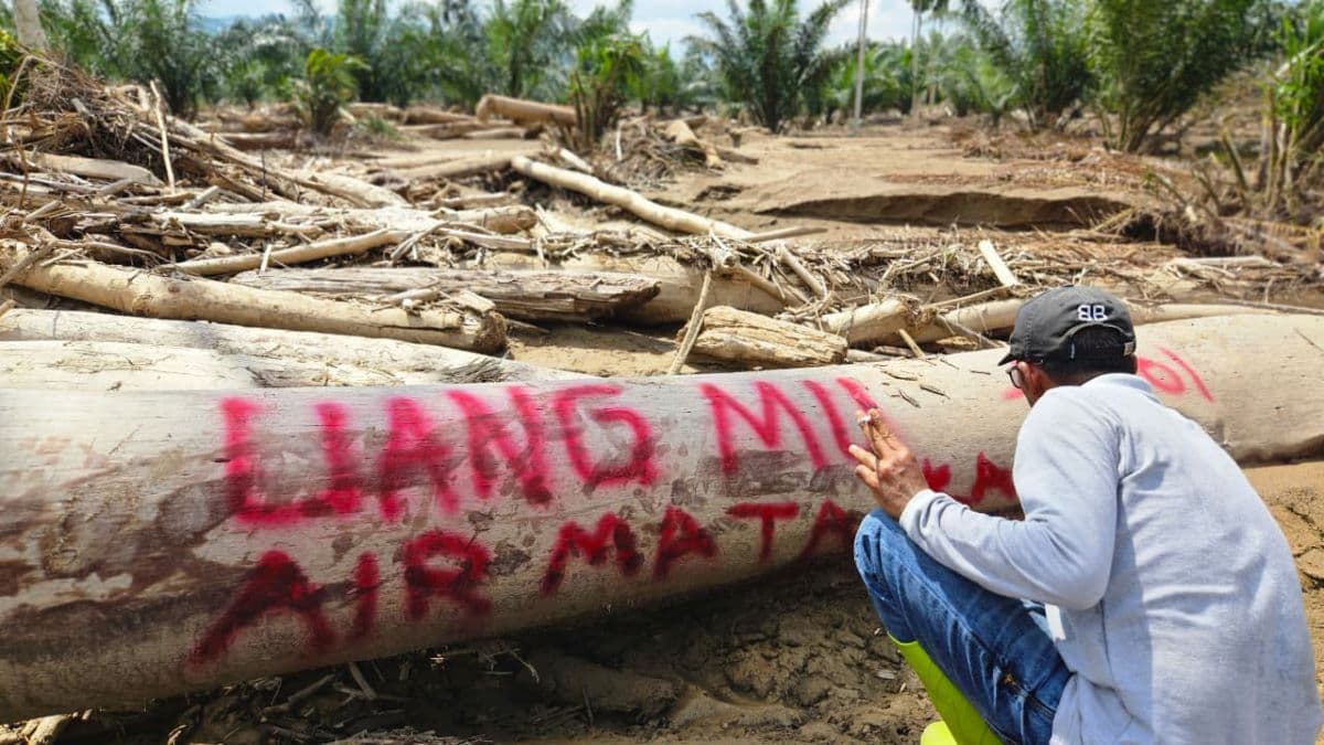 Presiden Cabut Izin 5 Perusahaan Pelanggar Hutan di Aceh Pascabencana