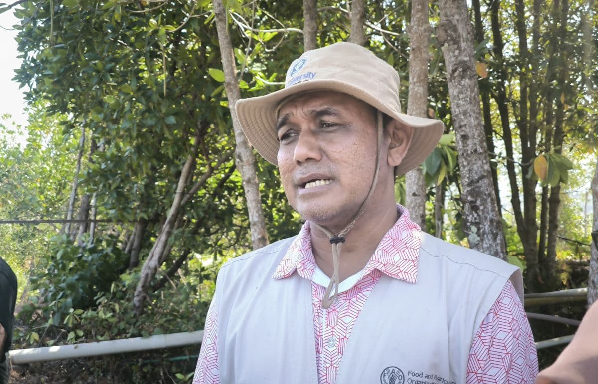 Udang Pisang Endemik Aceh Jaya Sukses Dibudidaya di Sawah Mina Padi