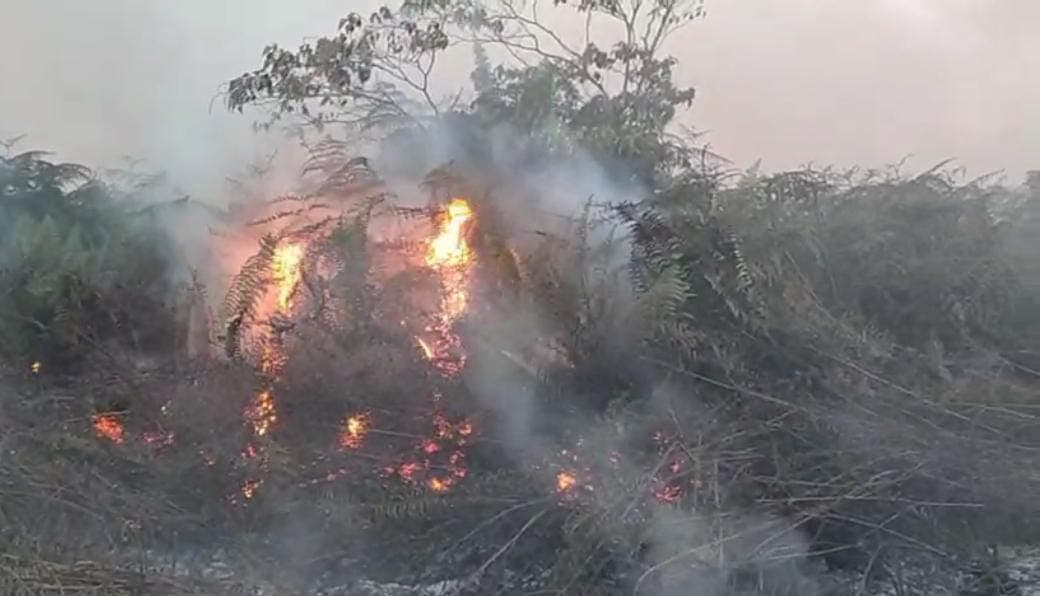 Kebakaran Lahan Gambut di Aceh Barat Meluas, 18 Hektare Terbakar