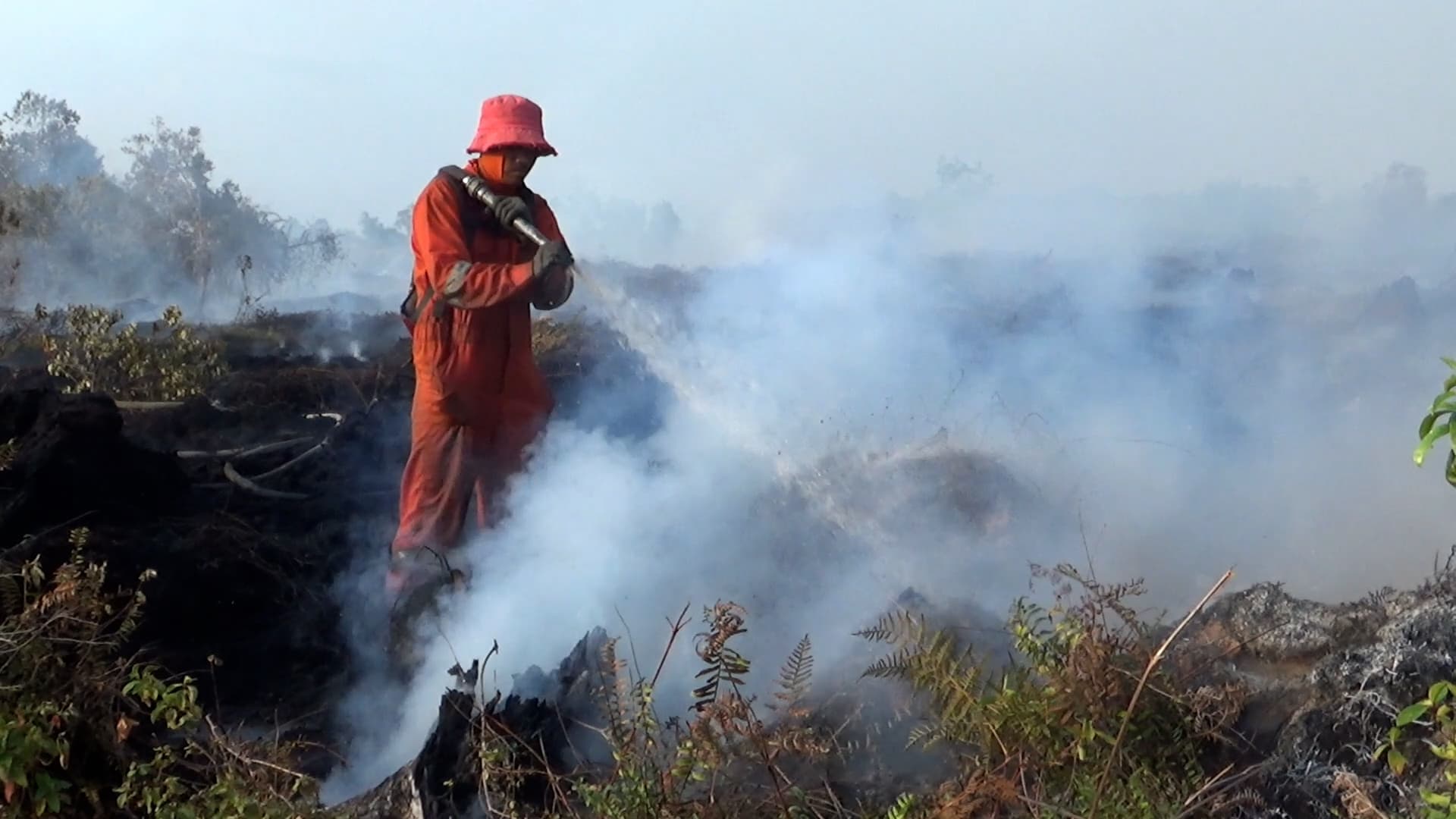 Kebakaran Gambut Aceh Barat Ancam Permukiman Warga Suak Nie, 18 Hektare Terbakar
