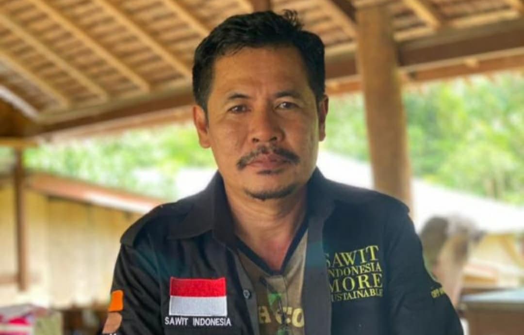 Apkasindo Desak BPDPKS Rehabilitasi Kebun Sawit Aceh Pascabanjir