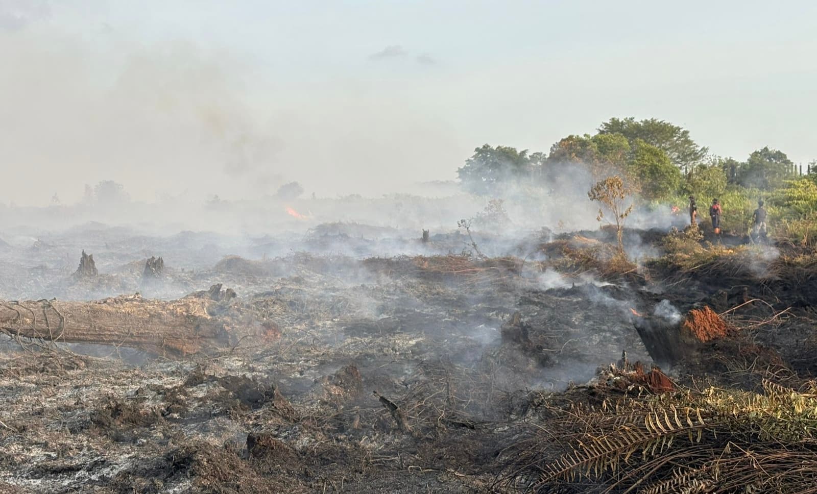 Bupati Aceh Barat Minta Salat Istisqa Atas Kebakaran Gambut Meluas