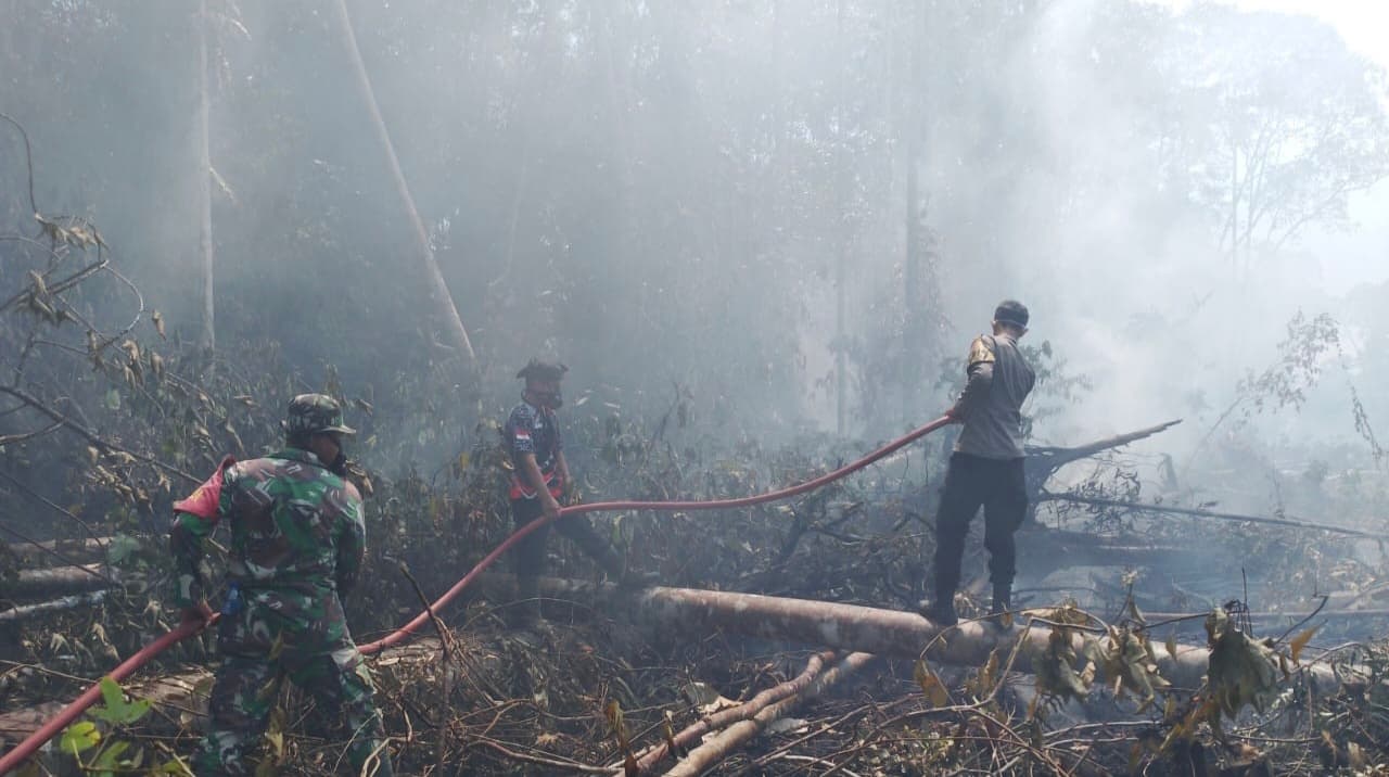 Karhutla Landa Dua Kecamatan di Aceh Selatan, Lebih 37 Hektare Lahan Terbakar