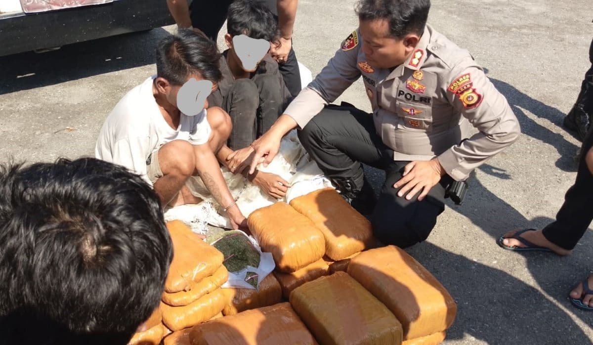 Polisi Tangkap Dua Kurir Ganja di Aceh Tenggara, Sita 50,7 Kg Ganja