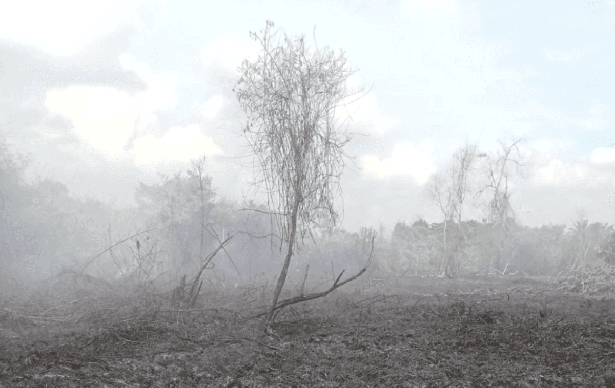 Warga Aceh Barat Daya Diminta Waspada Kebakaran Lahan di Musim Kering