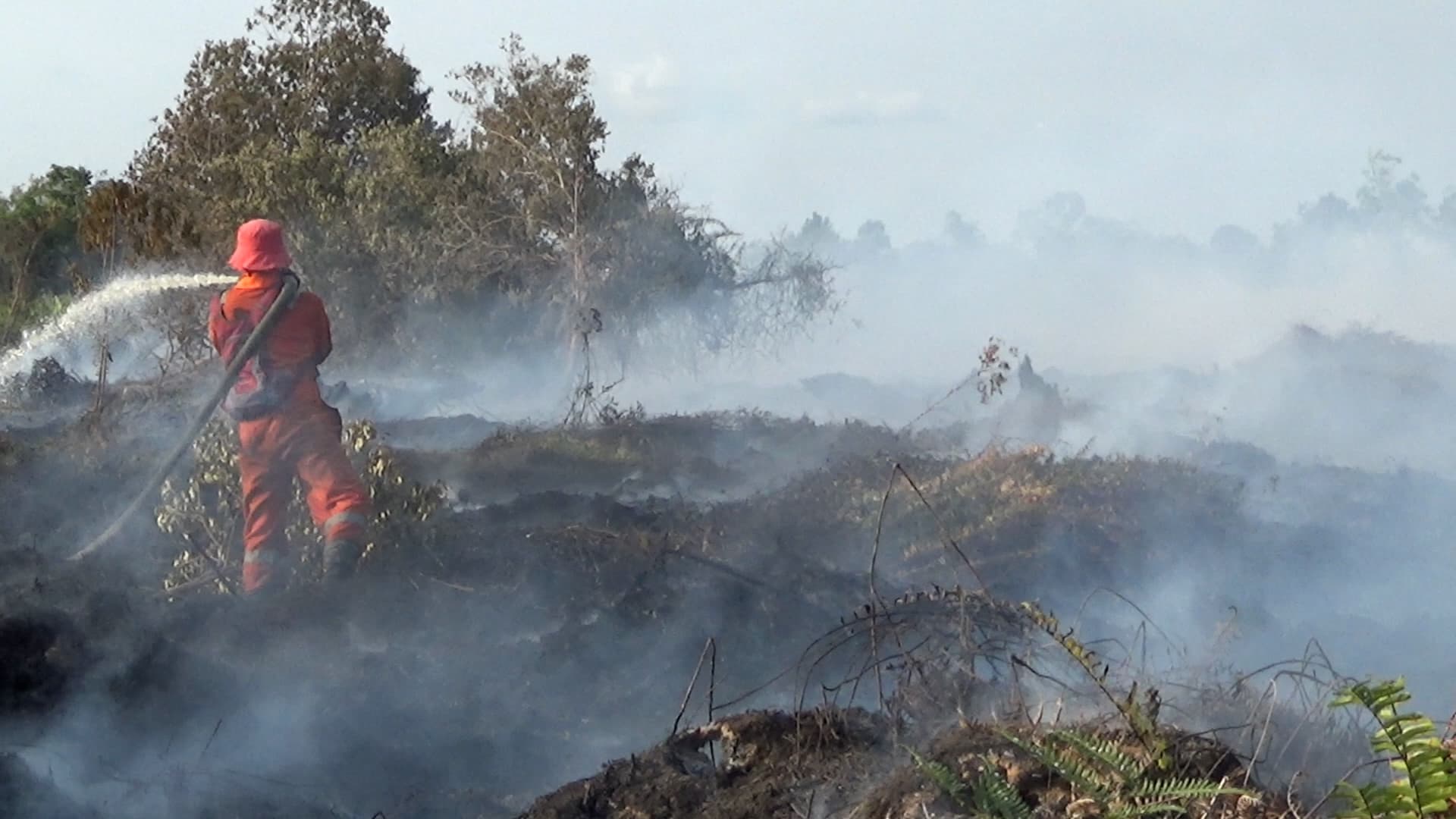Kebakaran Lahan Gambut Aceh Barat Capai 50 Hektare, Sekolah Diliburkan