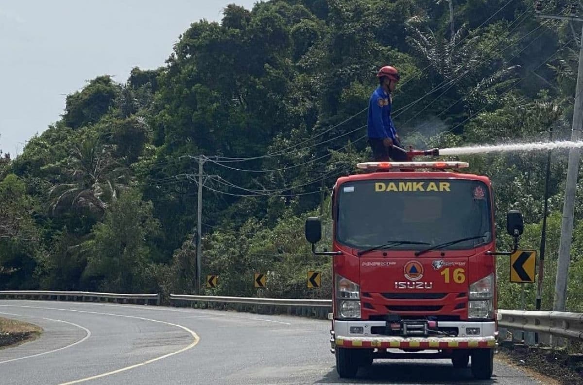 Satu Hektare Lahan Terbakar di Leupung, Aceh Besar: Api Sempat Mendekati Jalan Nasional