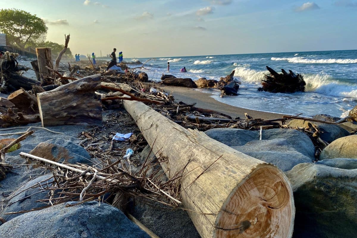 Sampah Kayu dan Batang Sawit Ancam Keamanan Wisatawan di Pantai Ujong Blang Lhokseumawe