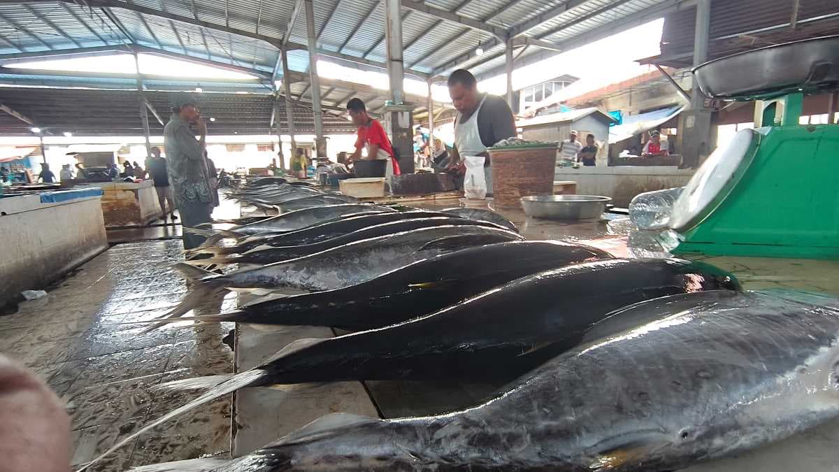 Harga Ikan di Langsa Naik Tinggi Menjelang Ramadan dan Meugang