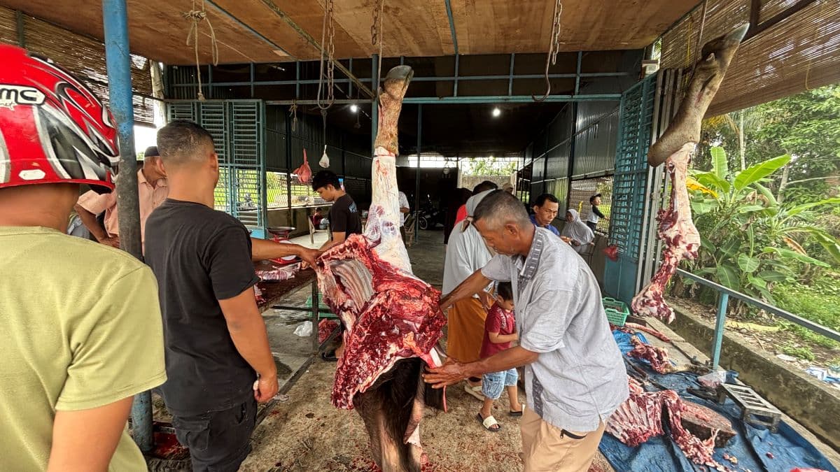 Harga Daging Meugang di Abdya Rp 200 Ribu per Kilogram, Warga Tetap Antusias