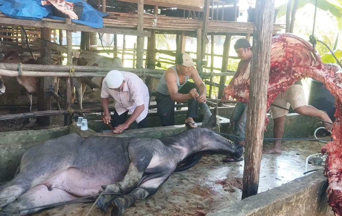 Daging Meugang Banpres 7 Ons per KK di Aceh Singkil Jelang Ramadan