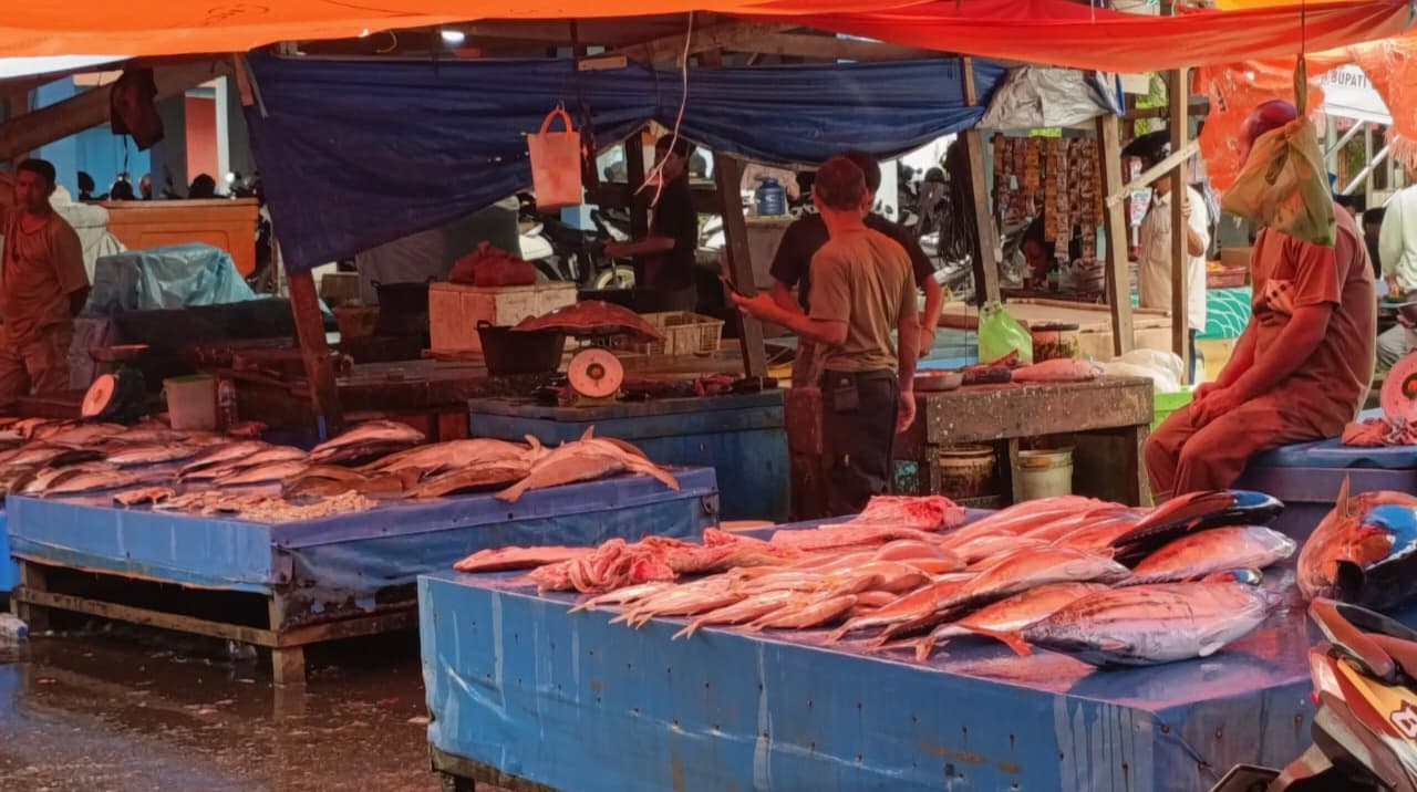 Harga Ikan di Aceh Barat Melonjak Hampir Dua Kali Lipat, Stok Minim