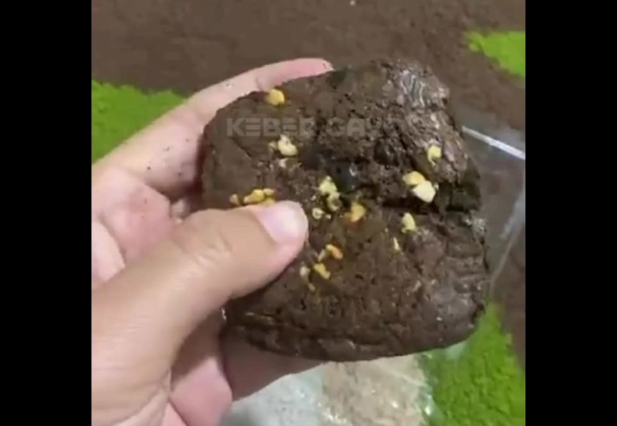 Wali Murid Aceh Tengah Protes Roti MBG Keras Seperti Batu di SD Negeri 17 Takengon