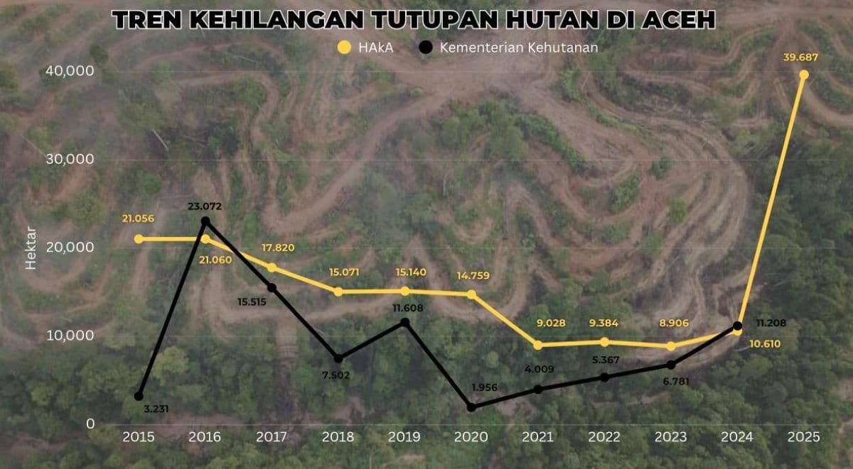 39.687 Hektare Hutan Aceh Hilang Tahun 2025, Rekor Tertinggi Dalam Satu Dekade