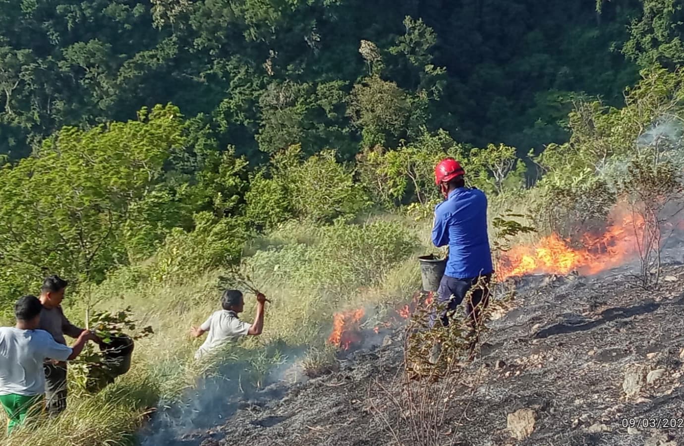 Kebakaran Hutan di Aceh Besar Hanguskan Lima Hektare Lahan, Petugas Berjuang