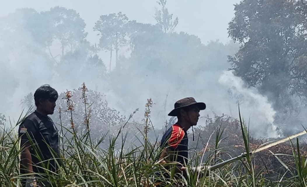 Dua Hektare Lahan Gambut di Aceh Barat Hangus Terbakar, Warga Terganggu Asap