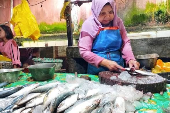 Harga Ikan di Aceh Barat Melonjak Pascalebaran, Pasokan Minim