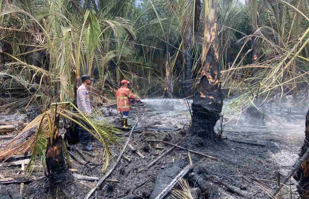 BPBK Aceh Barat Daya Siaga Hadapi Cuaca Ekstrem dan Risiko Kebakaran