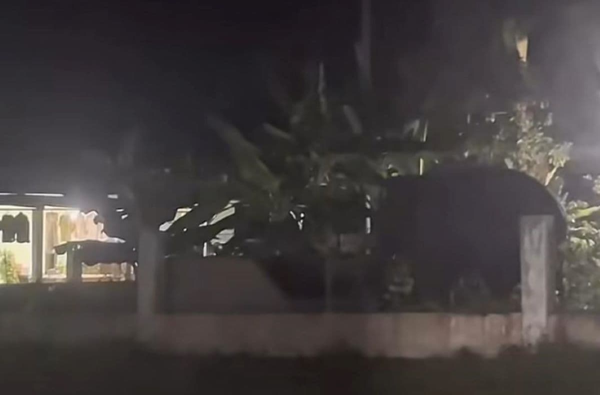 Gajah Liar Dekati Permukiman Warga di Pintu Rime Gayo, Puluhan Ekor Terpantau