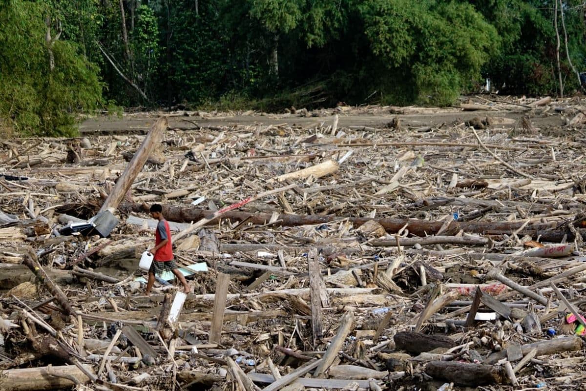 Kayu Hanyut Banjir Aceh Dimanfaatkan untuk Hunian dan Industri
