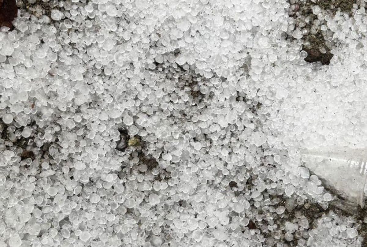 Hujan Es di Aceh Tengah Rusak Tanaman Kopi dan Rumah Warga Atu Lintang