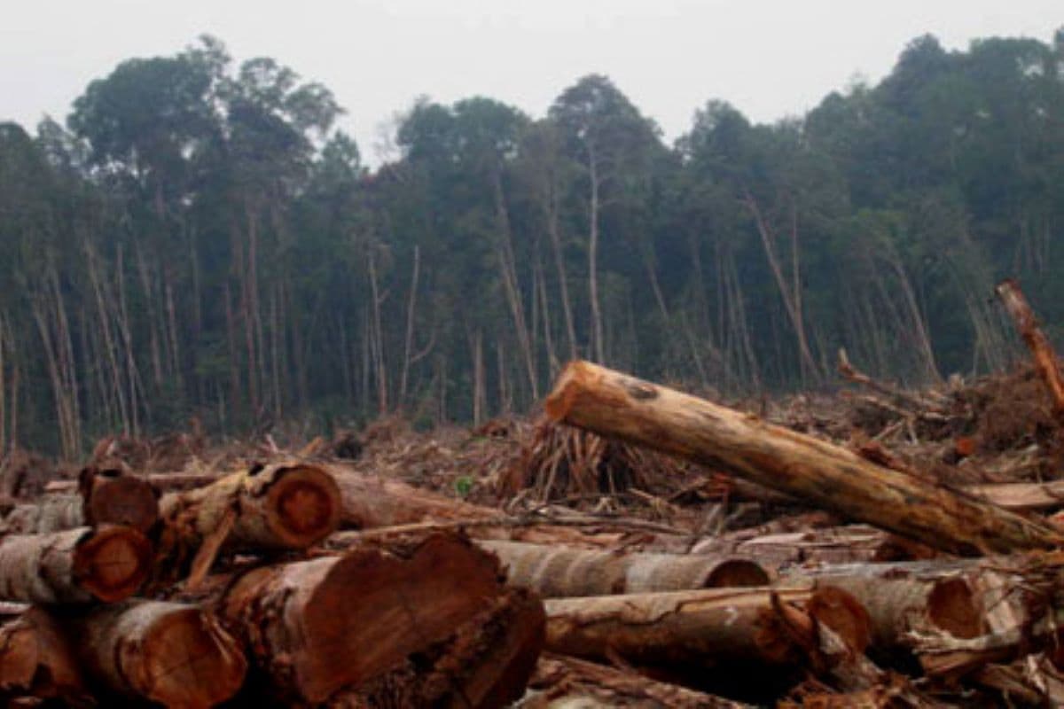 Nagan Raya Dorong Legalisasi Pawang Uteun untuk Lindungi Hutan dan Desa Ramah Iklim