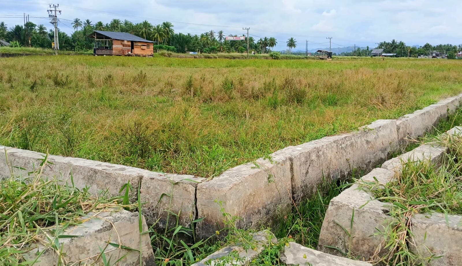 Sawah di Bireuen Rusak, Warga Kehilangan Penghasilan Harian Pasca Banjir