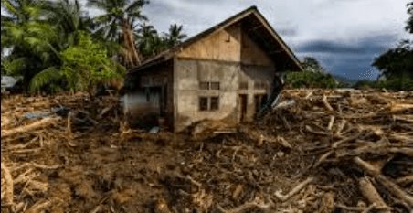 Hutan Bireuen Terancam: 60 Ribu Hektar Hutan Terus Berkurang, Ancaman Banjir dan Krisis Air Mengintai