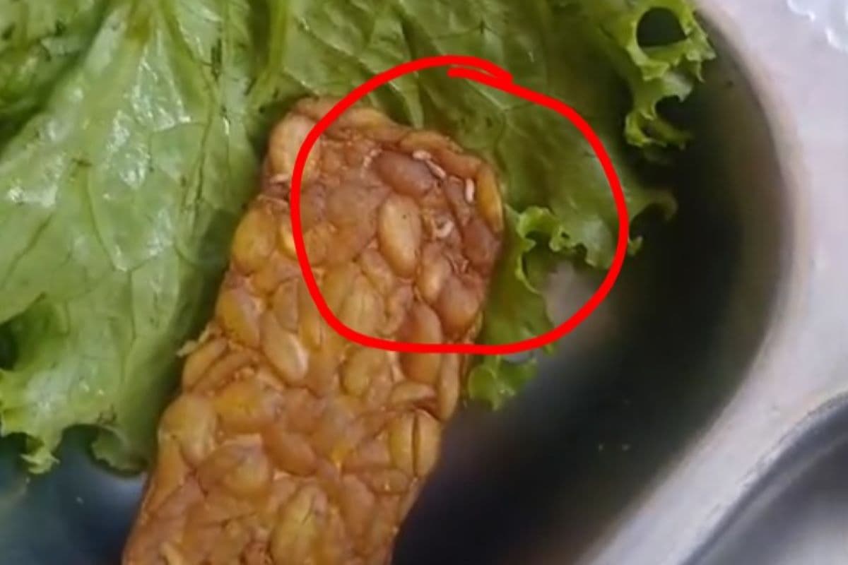 Makanan Berbelatung di MBG Aceh Selatan, Dinkes Sulit Koordinasi dengan BGN