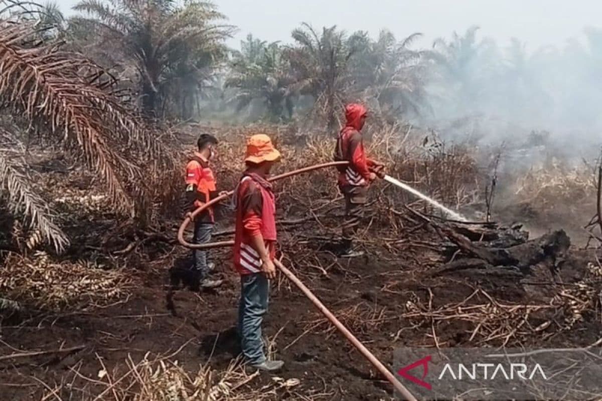 BPBD Nagan Raya Padamkan Kebakaran Lahan di Desa Suak Puntong