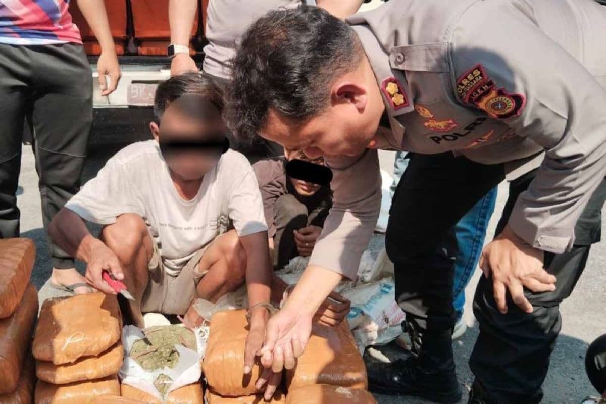 Polres Aceh Tenggara Tangkap Dua Pembawa 50,7 Kg Ganja, Warga Babul Makmur Terlibat