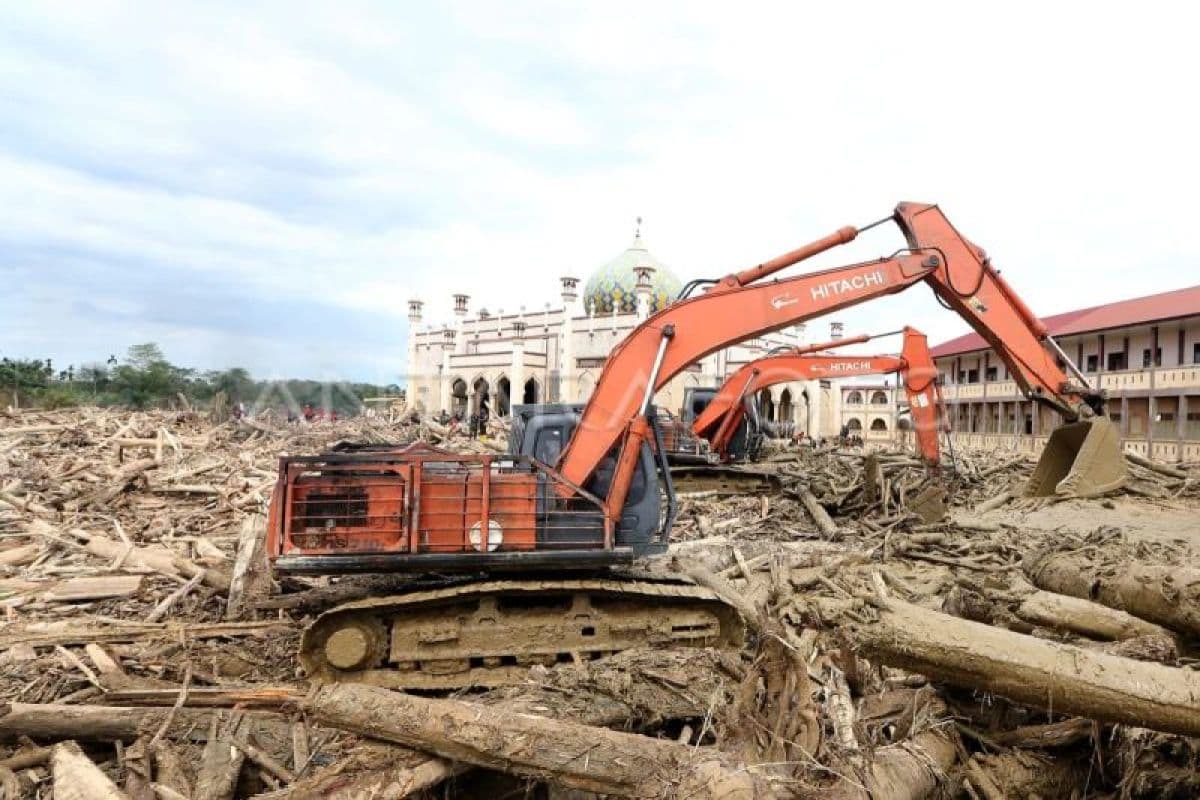 LSM Aceh Desak Penegakan Hukum Terhadap Perusahaan Perusak Hutan