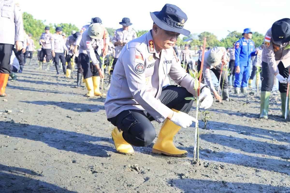 Polda Aceh Tanam 10 Ribu Mangrove, Wujudkan Polisi Hijau untuk Keberlanjutan Pesisir