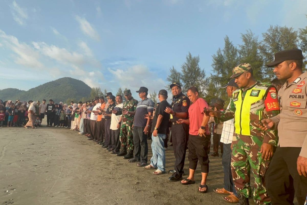 Kelompok Konservasi Lepaskan 90 Tukik di Aceh Besar untuk Lestarikan Penyu