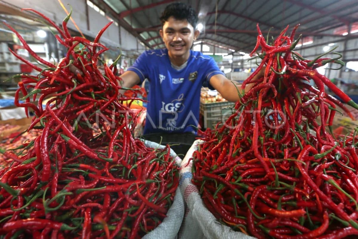 Deflasi Aceh 0,15% Bulanan, Inflasi 6,69% Tahunan: Dampak Pasca-Bencana