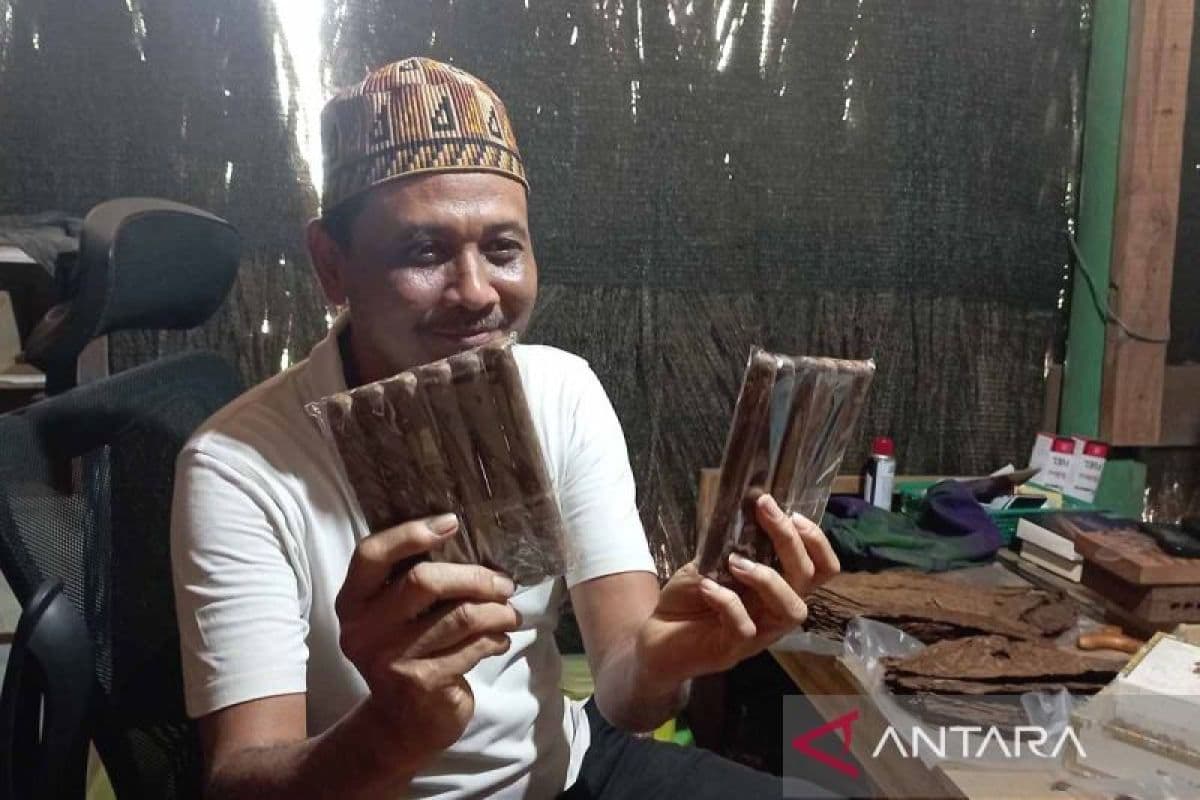 UMKM Aceh Besar Jadi Sentra Cerutu dari Tembakau Serong Asli