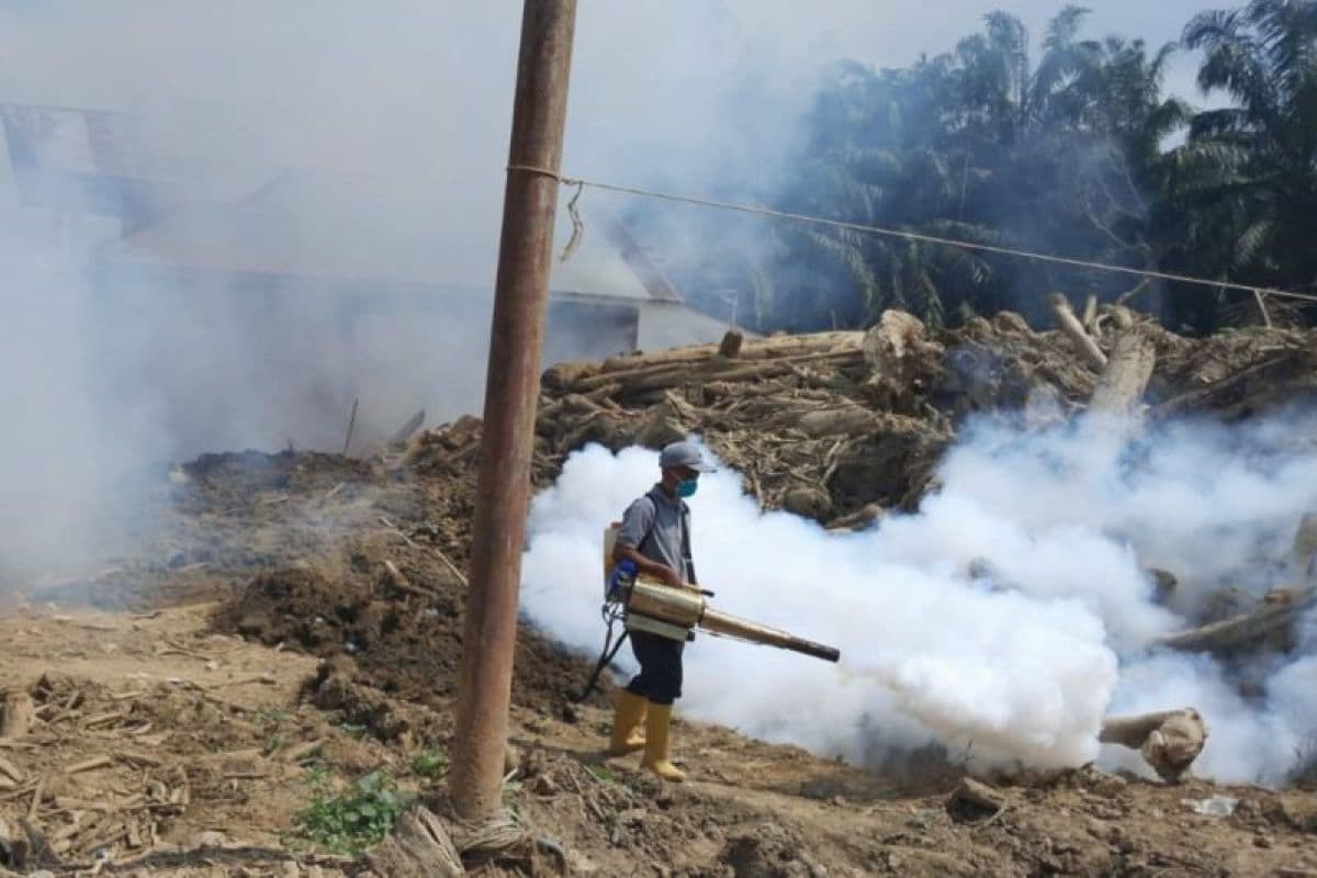 Dinkes Aceh Tamiang Fogging untuk Mencegah DBD dan Malaria Pasca Banjir