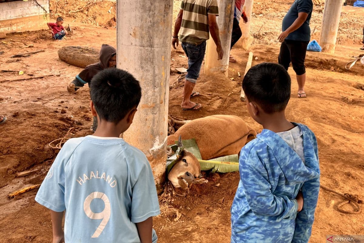 Meugang Pascabencana: Tradisi Aceh Utara Tetap Lestari di Pengungsian