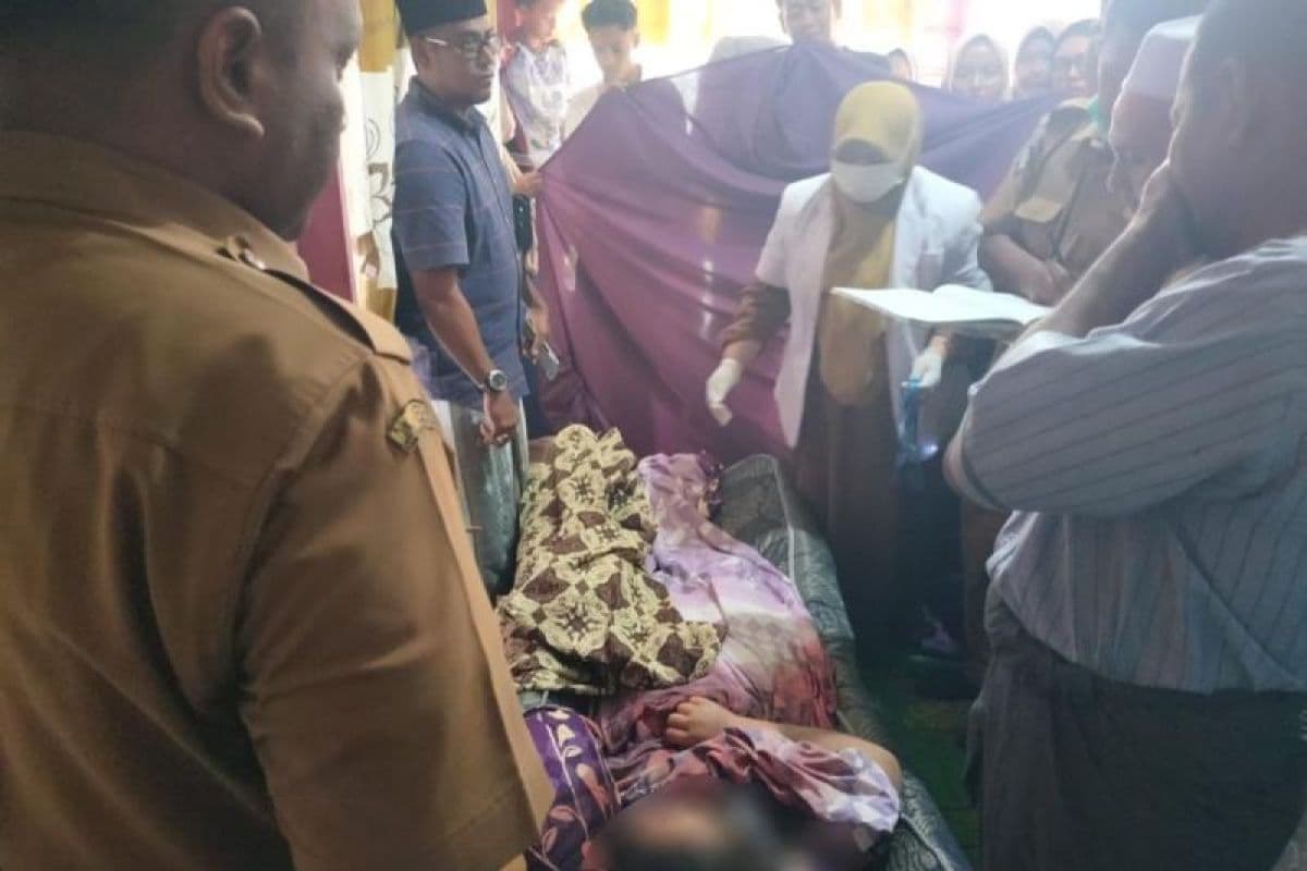 Warga Aceh Timur Meninggal Tertimpa Pohon Tumbang di Peureulak