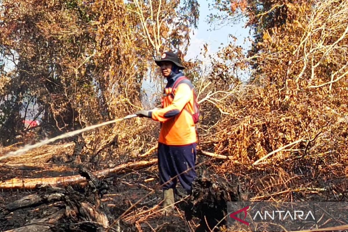 BPBD Aceh Barat Padamkan Karhutla di Dua Desa Samatiga, 3,5 Hektar Terbakar